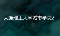 大連理工大學城市學院2021藝術類招生簡章