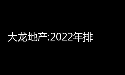 大龍地產:2022年排名前列季度凈利潤約554萬元