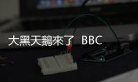 大黑天鵝來了  BBC預測英國會脫歐  全球股災｜天下雜誌