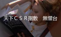 天下ＣＳＲ指數　無懼臺股亂流｜天下雜誌