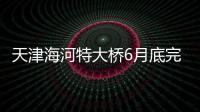 天津海河特大橋6月底完工（圖）