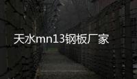 天水mn13鋼板廠家