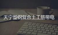 天寧塑鋼復合土工筋帶電話