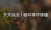 天天說法丨破壞草坪綠植 應如何處罰？