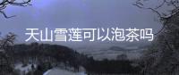 天山雪蓮可以泡茶嗎