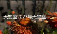 天蝎座2023年天蝎座運勢詳解 天蝎座2023年的全年運勢最新