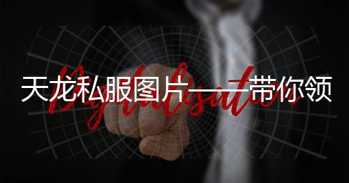 天龍私服圖片——帶你領(lǐng)略最精彩的游戲世界