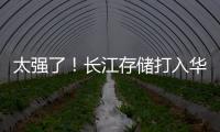 太強了！長江存儲打入華為供應鏈