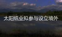 太陽紙業擬參與設立境外海運公司