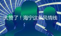 太贊了！海寧這條風情線首露真容！民宿、咖啡館…計劃近期完成！