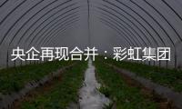 央企再現合并：彩虹集團無償劃轉至中國電子集團