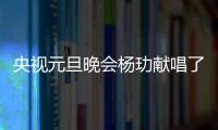 央視元旦晚會楊玏獻唱了什么歌曲？