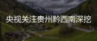 央視關注貴州黔西南深挖山地經濟潛力帶動群眾就業增收