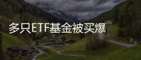 多只ETF基金被買爆 A股搶籌熱潮下的投資風(fēng)向標(biāo)