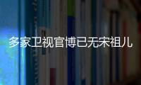 多家衛視官博已無宋祖兒相關內容，多部主演影視劇待播