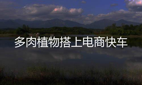 多肉植物搭上電商快車