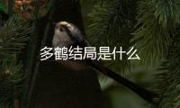 多鶴結(jié)局是什么