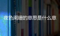 夜色闌珊的意思是什么意思（夜色闌珊的意思）