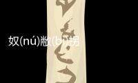 奴(nú)敝(bì)拐(ɡuǎi)網(wǎng)友是如何評論的！