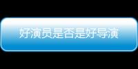 好演員是否是好導演