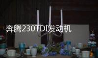 奔騰230TDI發(fā)動機(jī)來頭不小 急速運(yùn)轉(zhuǎn)600小時