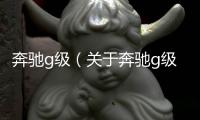 奔馳g級（關于奔馳g級的基本情況說明介紹）