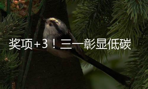 獎(jiǎng)項(xiàng)+3！三一彰顯低碳化發(fā)展實(shí)力