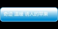 奇跡 溫暖 誘人的蘋果糖 如何獲得高分和搭配策略