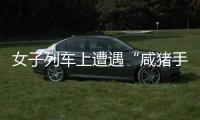 女子列車上遭遇“咸豬手”  乘警出手相助