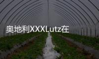 奧地利XXXLutz在德第17家Momax分店開張