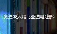 奧迪或入股比亞迪電池部門 達(dá)成電池采購