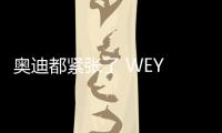 奧迪都緊張了 WEY VV6像素大燈解析