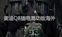 奧迪Q8插電混動版海外預售 約59.6萬起