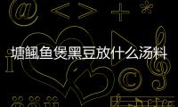塘鲺魚煲黑豆放什么湯料（塘鲺魚）