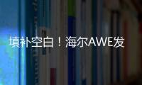 填補空白！海爾AWE發布行業首個雙動力技術標準【科技】風尚中國網