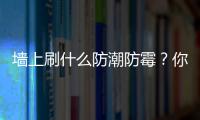 墻上刷什么防潮防霉？你家墻面做好防潮防霉了嗎