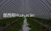 墨西哥Huayacán酒店，中和堅固與輕盈（組圖）