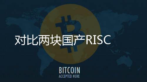 對比兩塊國產RISC