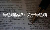 導(dǎo)熱油鍋爐（關(guān)于導(dǎo)熱油鍋爐的基本情況說明介紹）