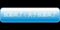 寂寞瘋了（關于寂寞瘋了的基本情況說明介紹）