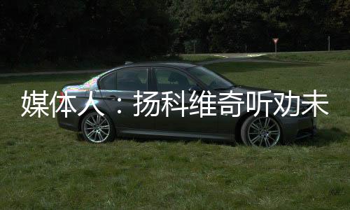 媒體人：揚科維奇聽勸未讓武磊首發(fā)韋世豪剛傷愈首發(fā)有利有弊