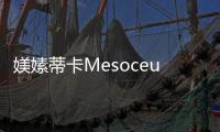 媄嫊蒂卡Mesoceutical—源自日本的健康美麗品牌入駐中國市場