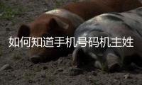 如何知道手機號碼機主姓名（破解手機號碼機主姓名）