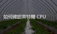 如何確認英特爾 CPU 是否損壞？官方人員建議拿 NVIDIA 顯卡檢查