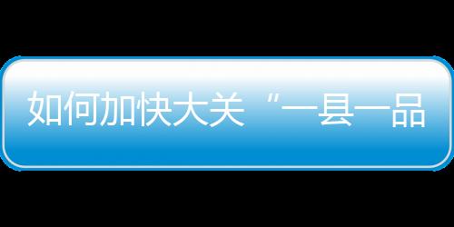 如何加快大關(guān)“一縣一品”筇竹產(chǎn)業(yè)發(fā)展步伐？這行人去了北京