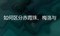 如何區(qū)分赤霞珠、梅洛與馬爾貝克