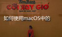 如何使用macOS中的縮放功能放大屏幕