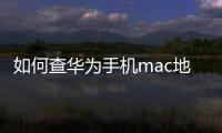 如何查華為手機mac地址查詢（華為C8800手機的MAC地址怎么查）