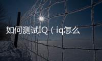 如何測試IQ（iq怎么測試）