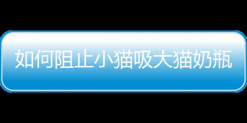 如何阻止小貓吸大貓奶瓶？怎樣防止奶貓吸別的奶貓